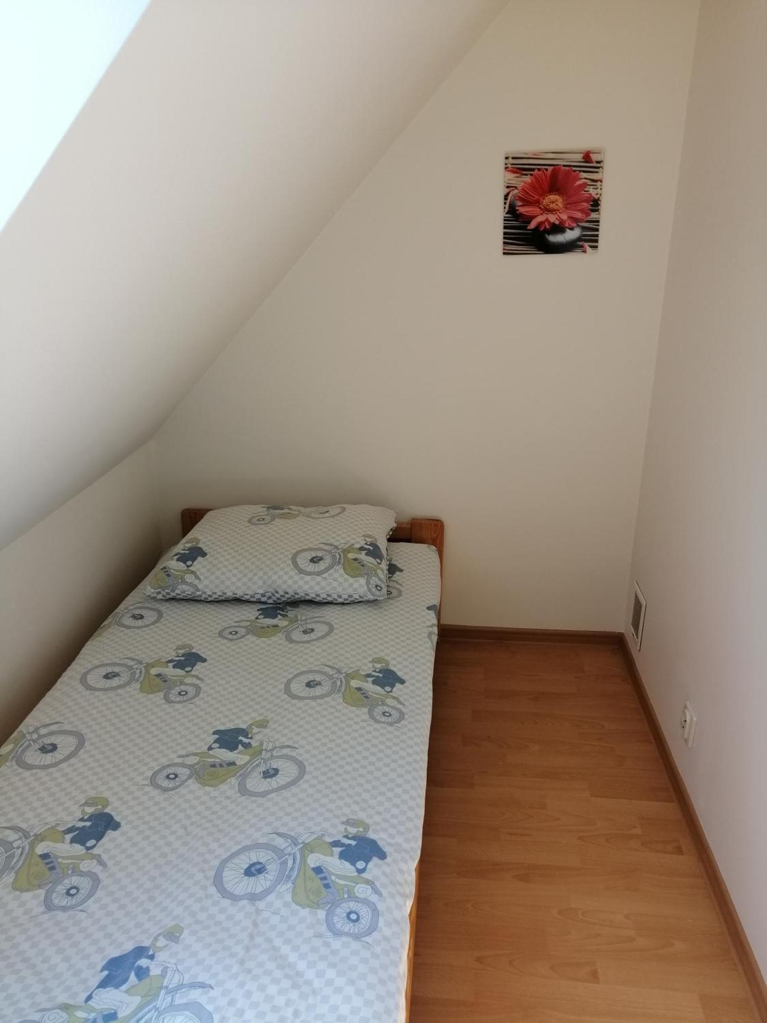 Domki Alex I Maciek Pleśna エクステリア 写真